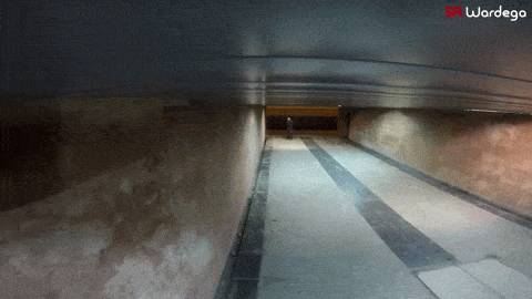 댕댕이가 냥냥이를 이길 수 없는 이유 -2탄- | 인스티즈