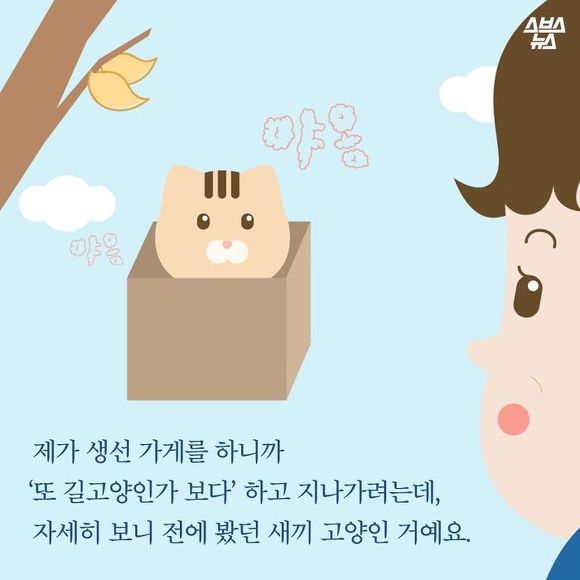  생선 싫어하는 생선 가게 고양이 | 인스티즈