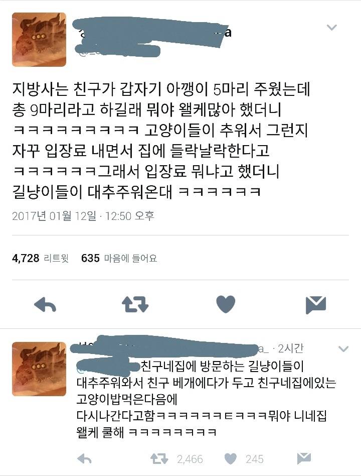 고양이 입장료 | 인스티즈