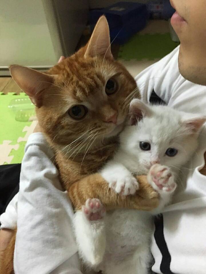 오늘의 심쿵 | 인스티즈