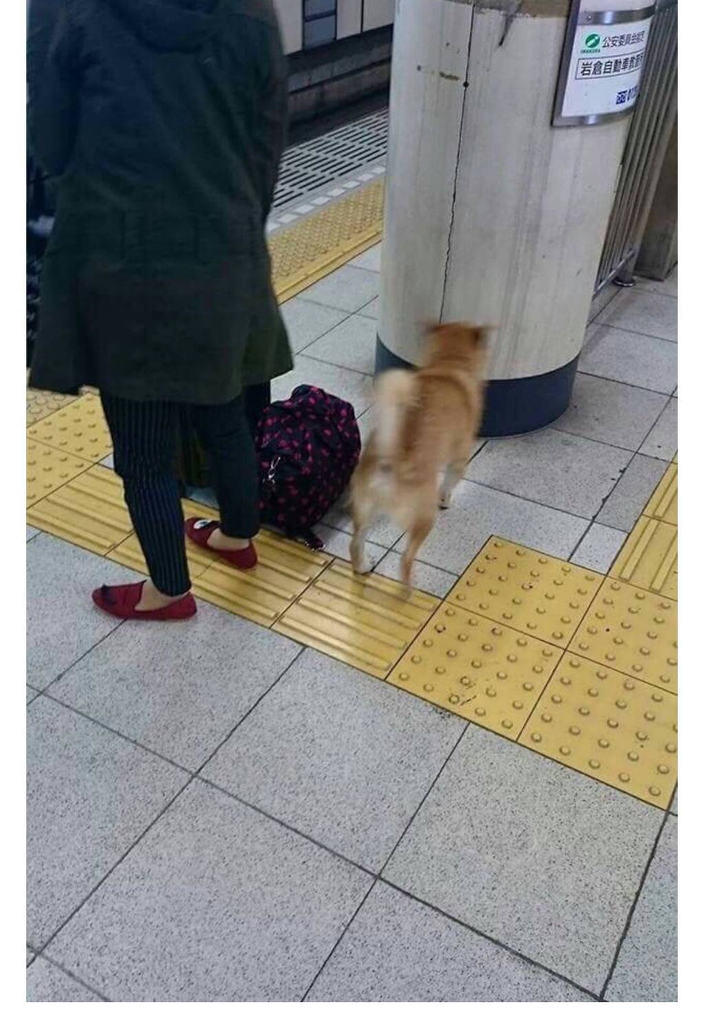 와..무임승차..ㄷㄷ | 인스티즈