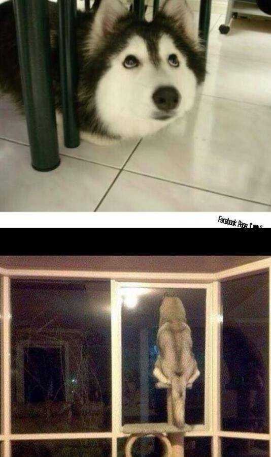 유전만큼 환경이 중요한 이유 | 인스티즈