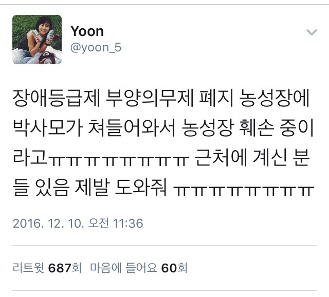 박사모가 광화문광장에서 한 일 | 인스티즈