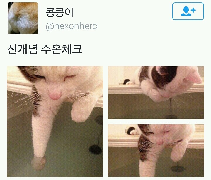 신개념 수온체크.twt | 인스티즈