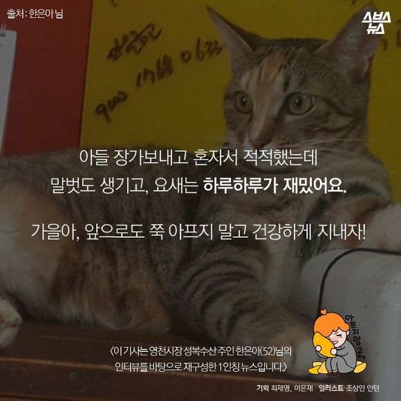  생선 싫어하는 생선 가게 고양이 | 인스티즈