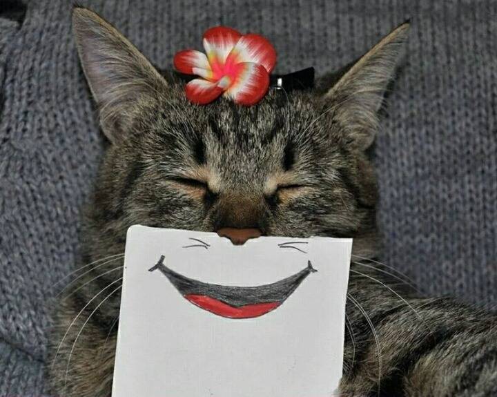 2016년 10월 27일 오하아사 | 인스티즈