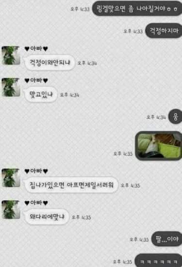 반도의 흔한가족 .jyp | 인스티즈