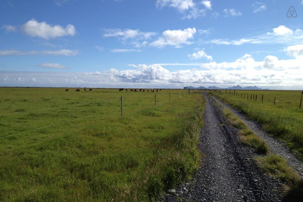 아름다운 아이슬란드 민박집 | 인스티즈