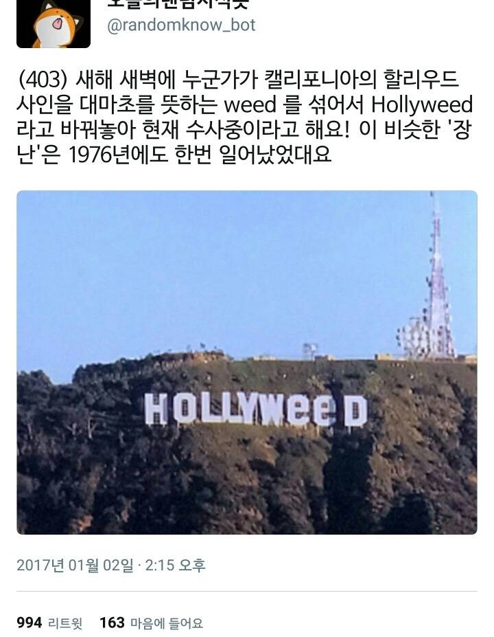 미국의 새해 새벽에 일어난 일.twt | 인스티즈