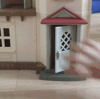 주말이니까 심장한번 부시고 가자 (feat.고양이) | 인스티즈