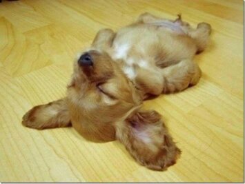 해야할 일이 많이 밀렸다거나..... | 인스티즈