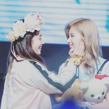 트와이스 애완 멤버.gif | 인스티즈