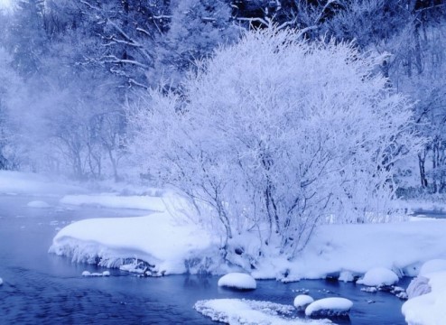 어느날 신이 " 내가 신세계를 만들었는데 거기 주민 될래? " 하고 물어왔습니다 | 인스티즈