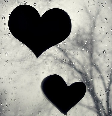 그대가 꽃 피는 것이 처음부터 내 일이었다는 듯이 | 인스티즈