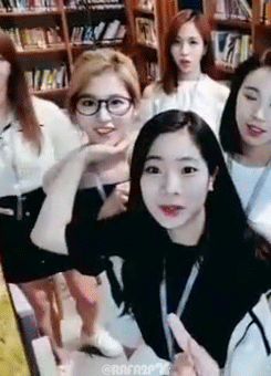 트와이스 애완 멤버.gif | 인스티즈