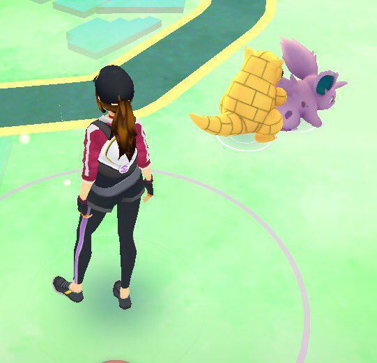 혼돈의 포켓몬 go 상황 | 인스티즈