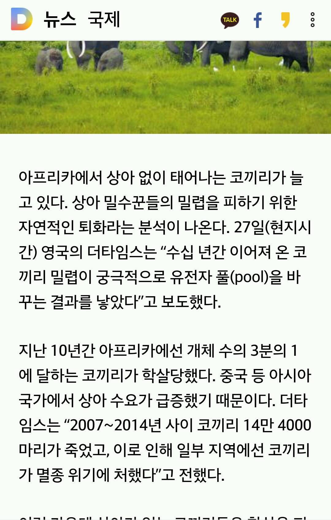 코끼리 밀렵의 비극..상아 없이 태어나는 코끼리 급증 | 인스티즈