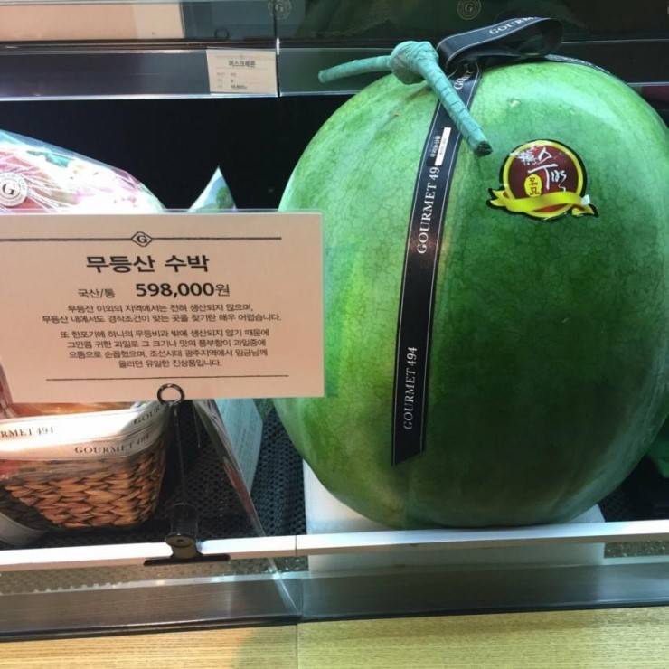 국내에서 제일 비싸다는 과일 | 인스티즈