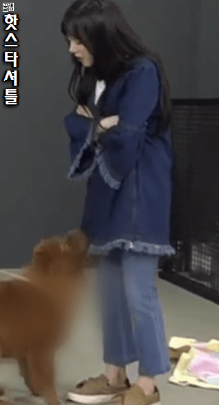 발정난 개.gif | 인스티즈