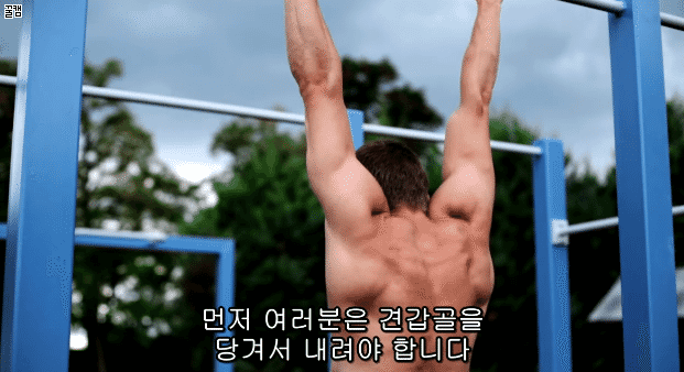 퍼펙트 풀업 (정자세 턱걸이) 하는법.jpg,gif | 인스티즈