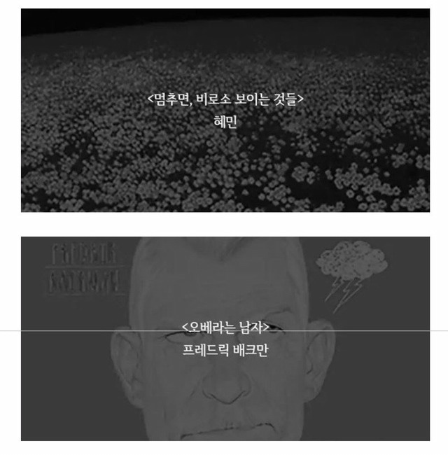 죽기전에 무조건 읽어야한다는 인생책 | 인스티즈
