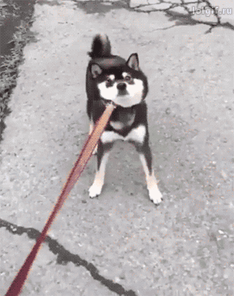 안가 해결 방법.gif | 인스티즈