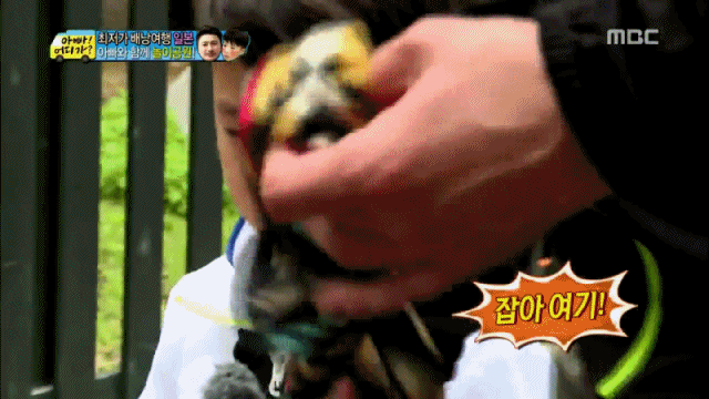 [아빠어디가] 모성본능 자극하는ㅠㅠㅠ 아빠 손 덕후 리환이 | 인스티즈