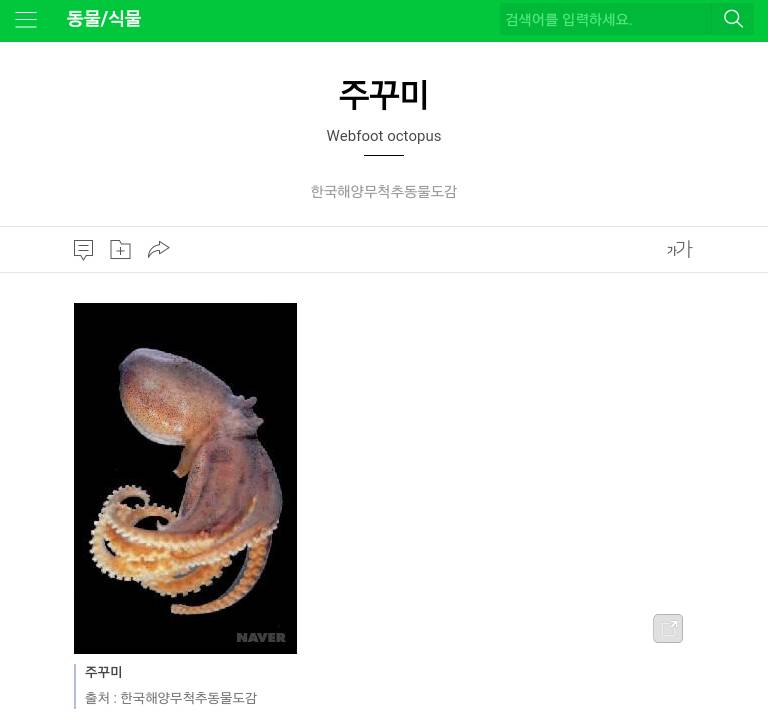 많은 사람들이 모르는 맞춤법 | 인스티즈