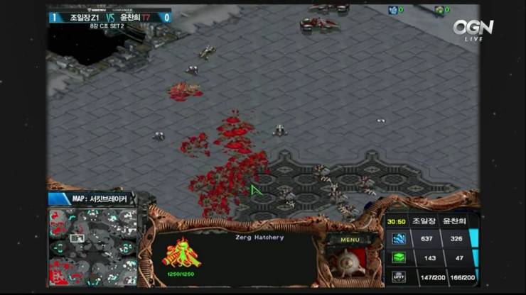 저그유저로써 정말 거슬리는 유닛 투톱 | 인스티즈