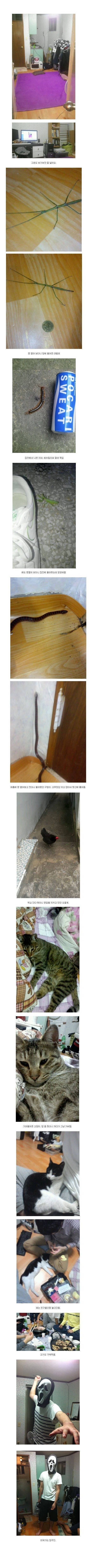 반도의흔한 자취방.jpg | 인스티즈