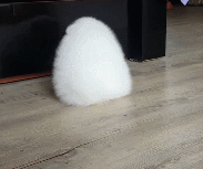 움직이는 솜사탕.gif | 인스티즈