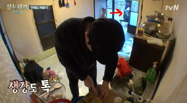 편집에 영혼을 갈아넣었다는 삼시세끼 1회 (편집한사람 보너스좀 줘라/그분을 찾아보세요) | 인스티즈