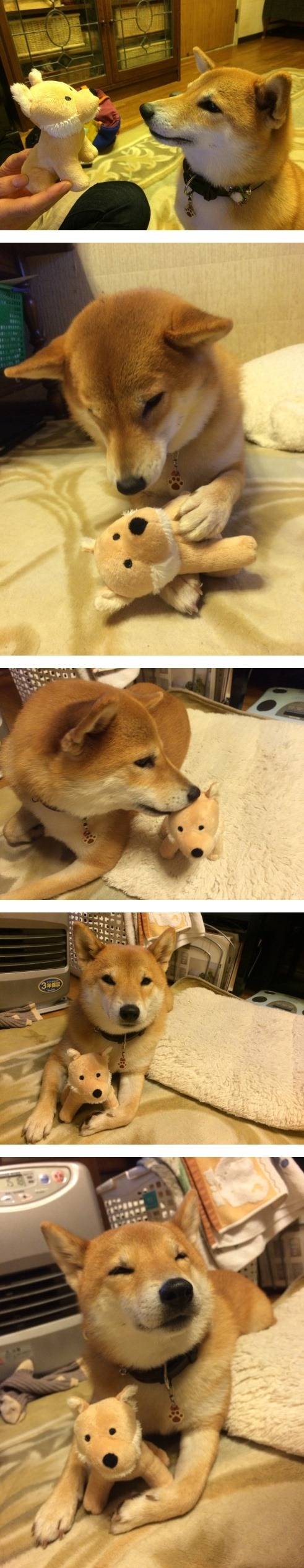 동생 생겨서 개흐뭇 | 인스티즈