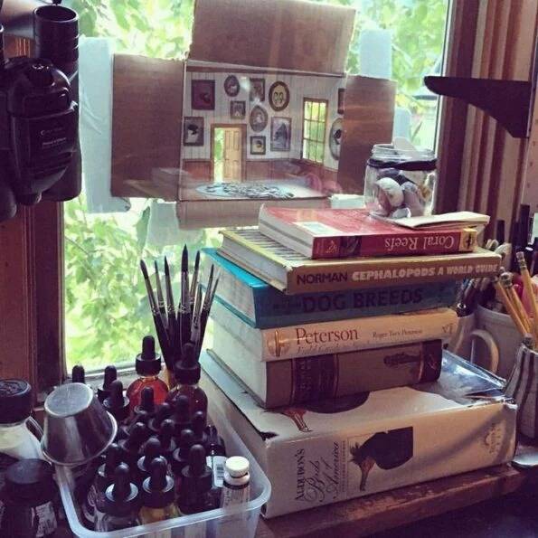 종이박스로 만든 새집 안을 꾸몄더니 정말 새들이 찾아욌다.twt | 인스티즈