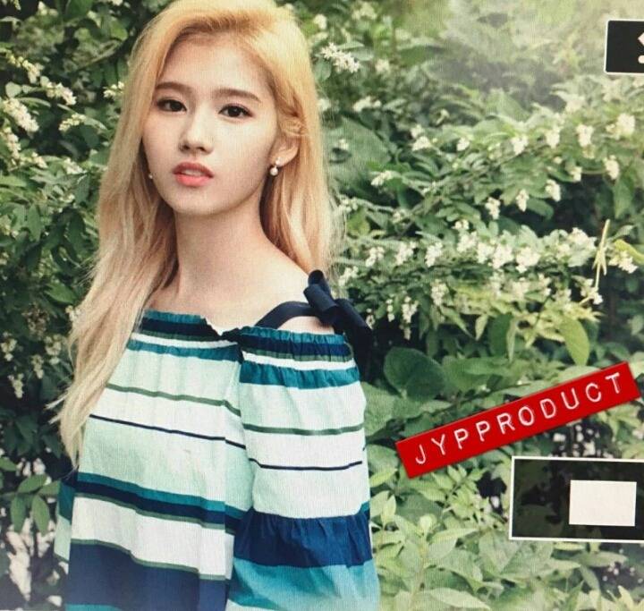 트와이스 잔디에서.jpg | 인스티즈