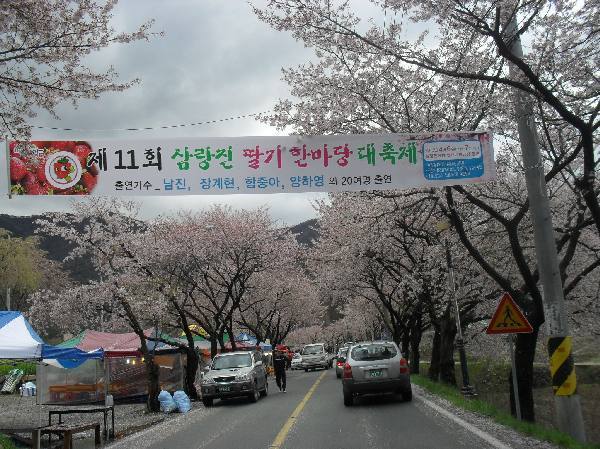 여자친구와 함께 떠나는 국내 최고의 벚꽃드라이브코스 | 인스티즈