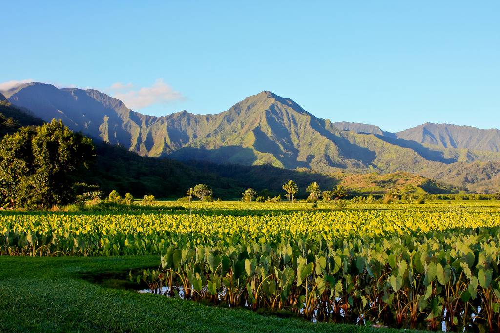 세계에서 가장 낭만적인 섬들.jpg | 인스티즈