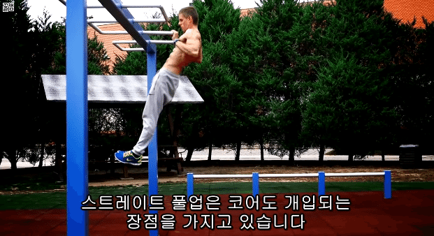 퍼펙트 풀업 (정자세 턱걸이) 하는법.jpg,gif | 인스티즈
