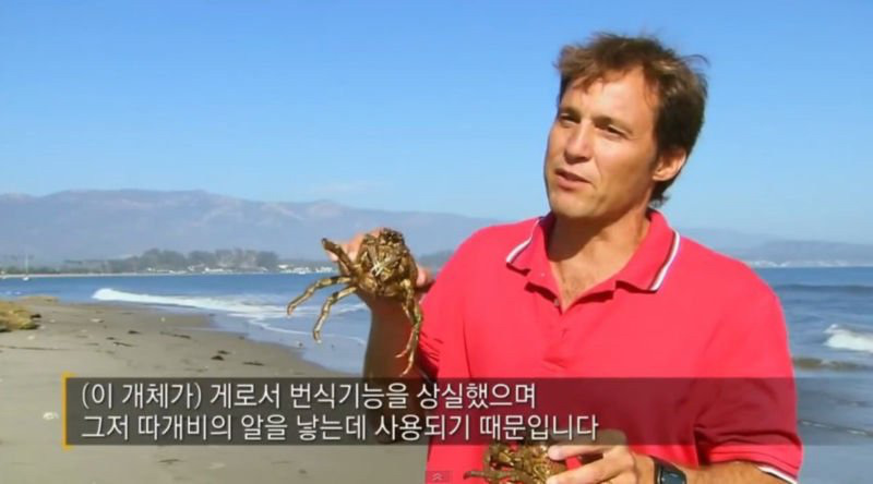 강제 성전환당하는 게..JPG | 인스티즈