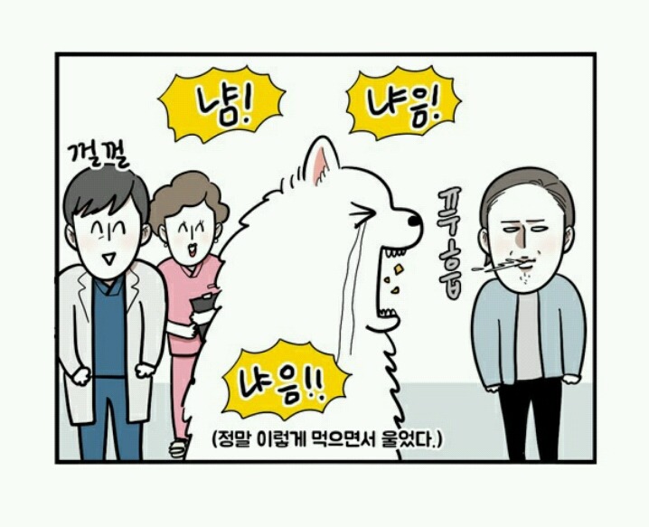 대형견 키우는 사람 공감 | 인스티즈