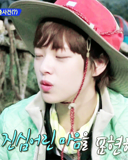 정글의 법칙 트와이스 정연.gif | 인스티즈