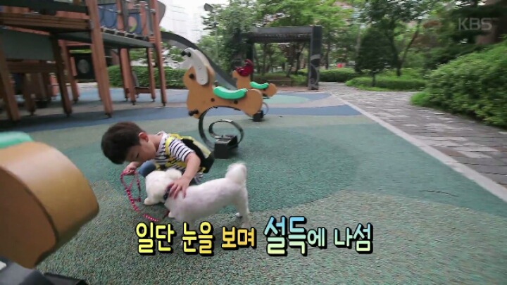 댕댕이 한테 미안해서 미끄럼틀 타러 못가는 대박이 ㅋㅋㅋJPG | 인스티즈