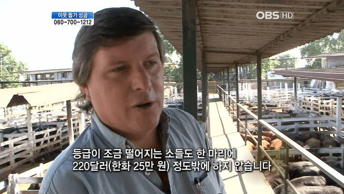 아르헨티나 소고기의 위엄 | 인스티즈