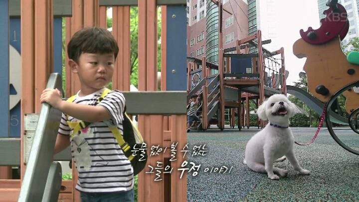 댕댕이 한테 미안해서 미끄럼틀 타러 못가는 대박이 ㅋㅋㅋJPG | 인스티즈