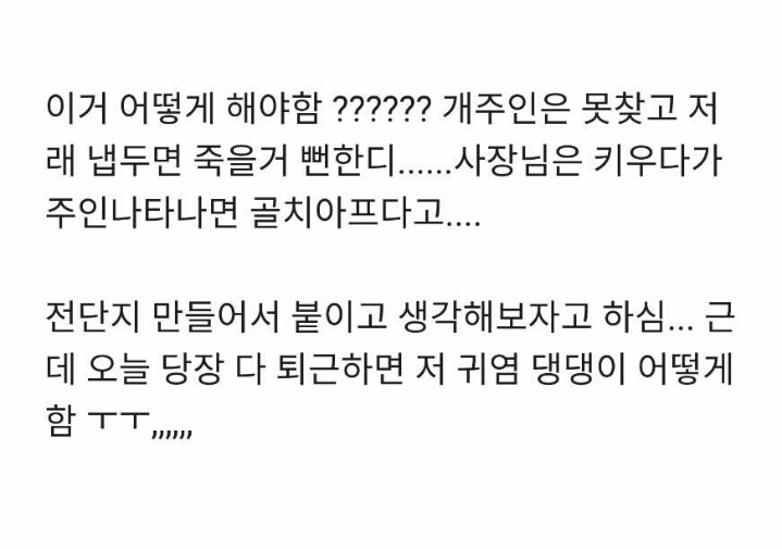 회사에서 개난처한 썰 | 인스티즈