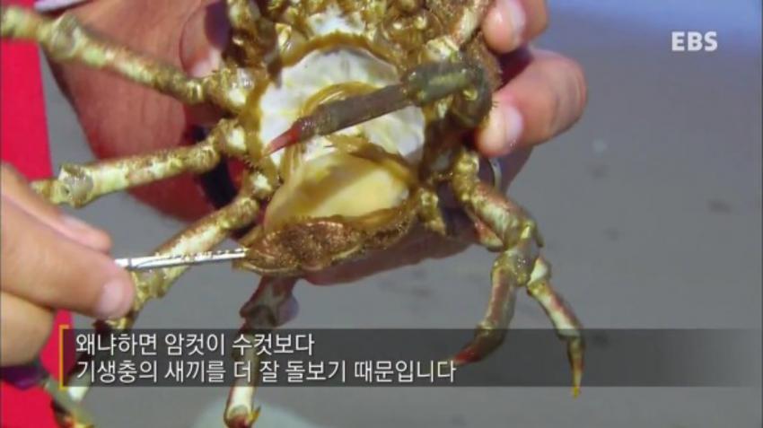 강제 성전환당하는 게..JPG | 인스티즈