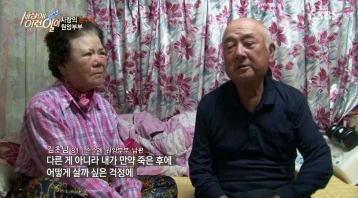 학교폭력 사라져야하는 이유 | 인스티즈