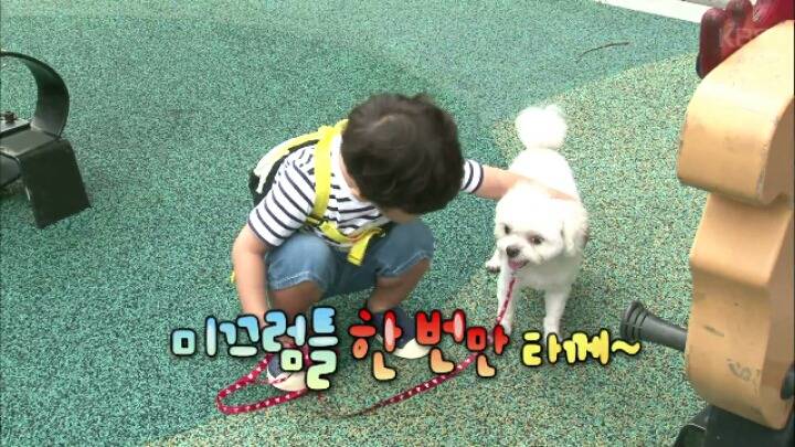 댕댕이 한테 미안해서 미끄럼틀 타러 못가는 대박이 ㅋㅋㅋJPG | 인스티즈