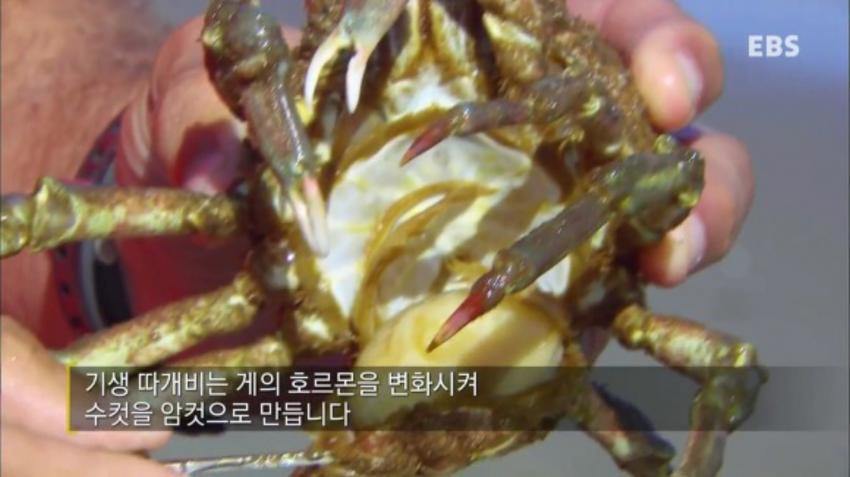 강제 성전환당하는 게..JPG | 인스티즈