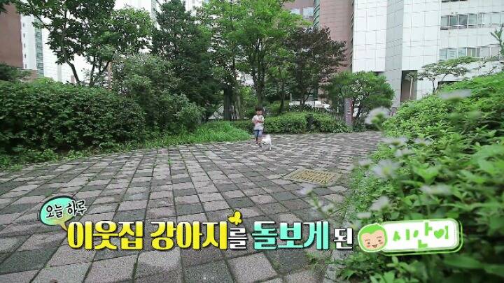 댕댕이 한테 미안해서 미끄럼틀 타러 못가는 대박이 ㅋㅋㅋJPG | 인스티즈